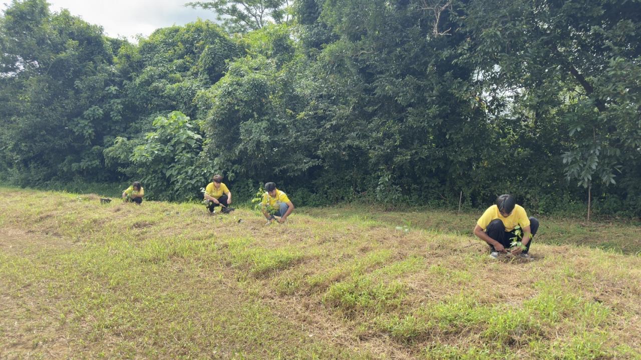 ภาพประกอบที่ 4