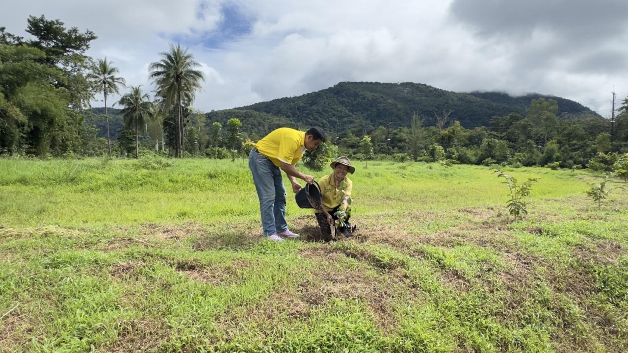 ภาพประกอบที่ 5