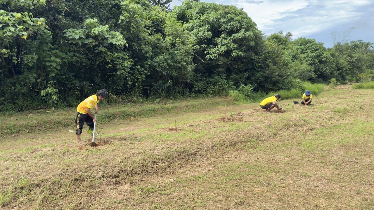 ภาพประกอบที่ 6
