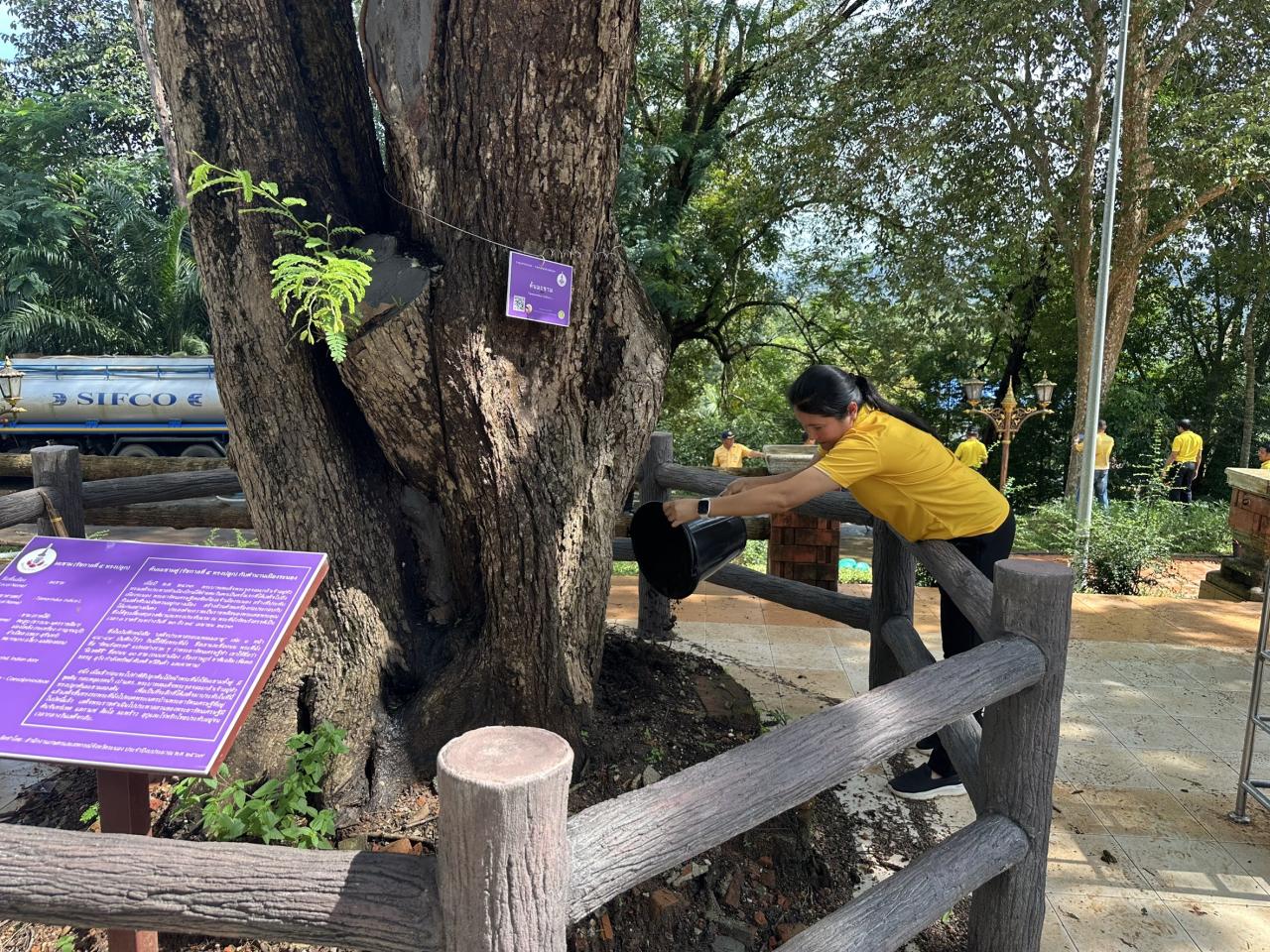 ภาพประกอบที่ 1