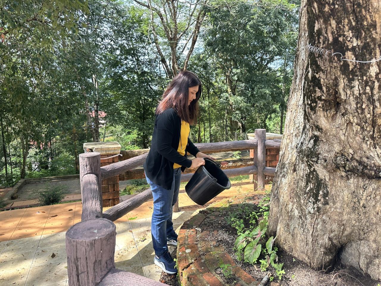 ภาพประกอบที่ 3