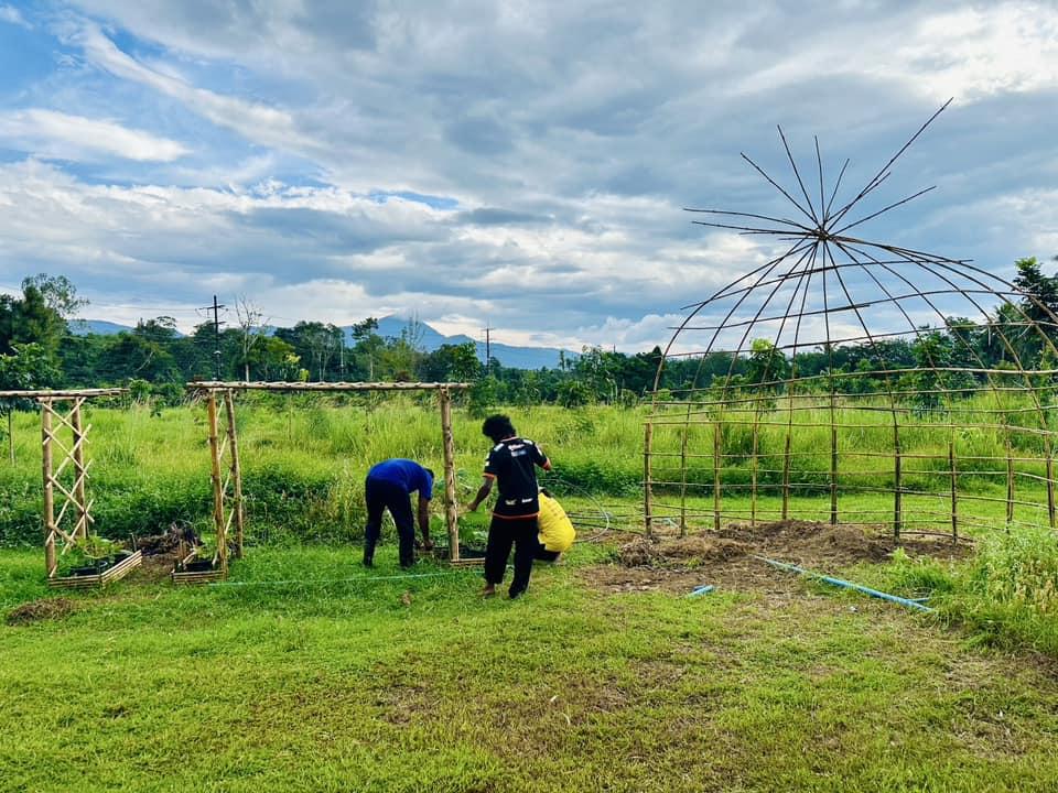 ภาพประกอบที่ 1