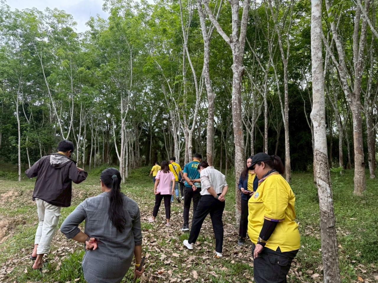 ภาพประกอบที่ 6