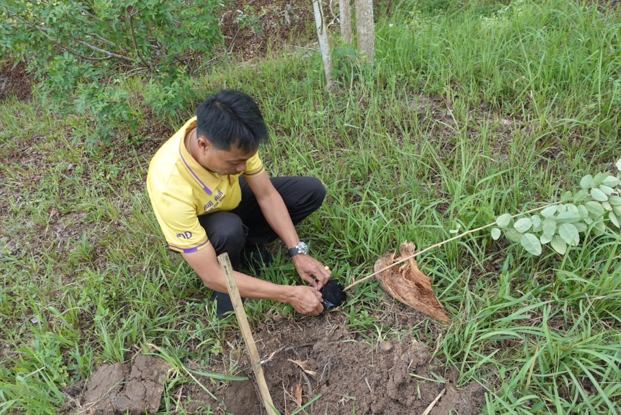 ภาพประกอบที่ 3