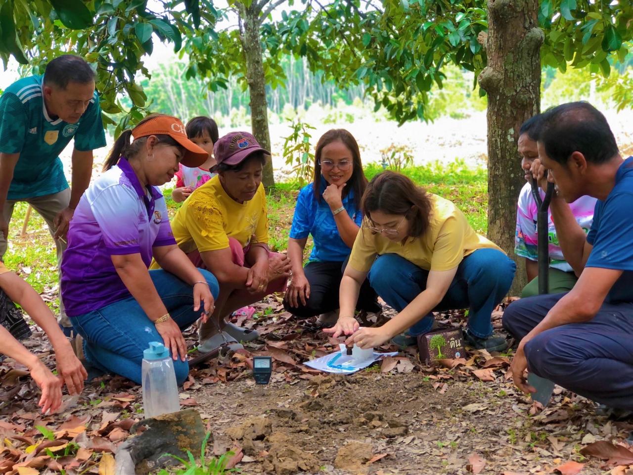 ภาพประกอบที่ 1