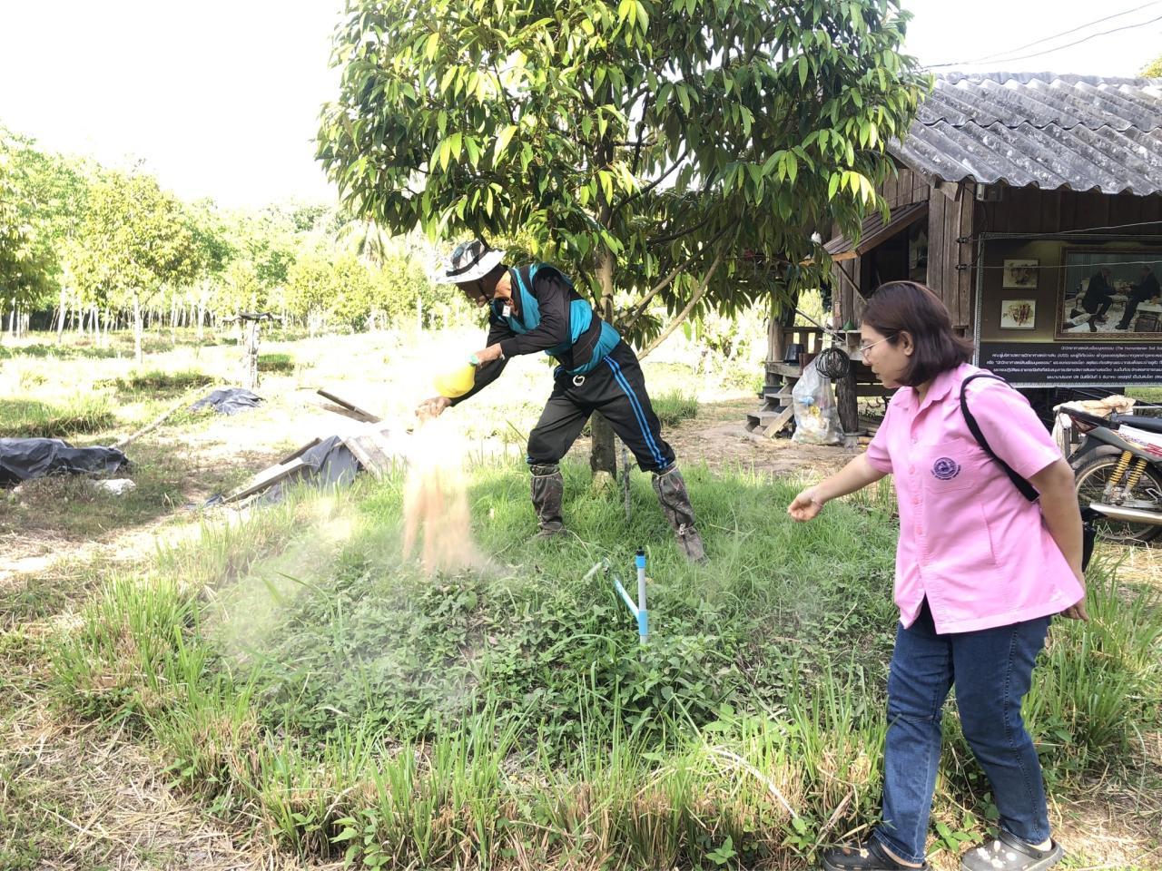 ภาพประกอบที่ 5