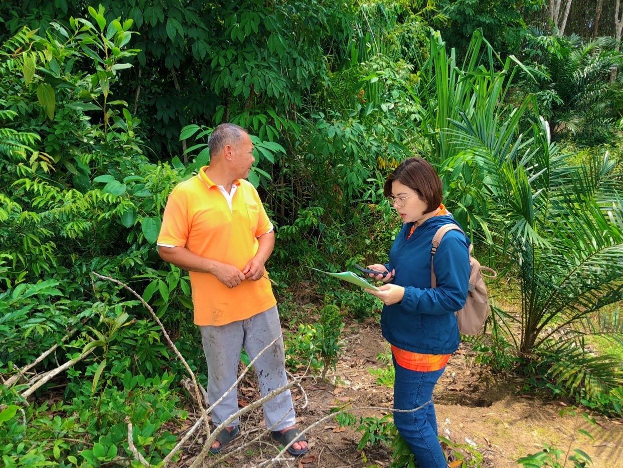 ภาพประกอบที่ 3