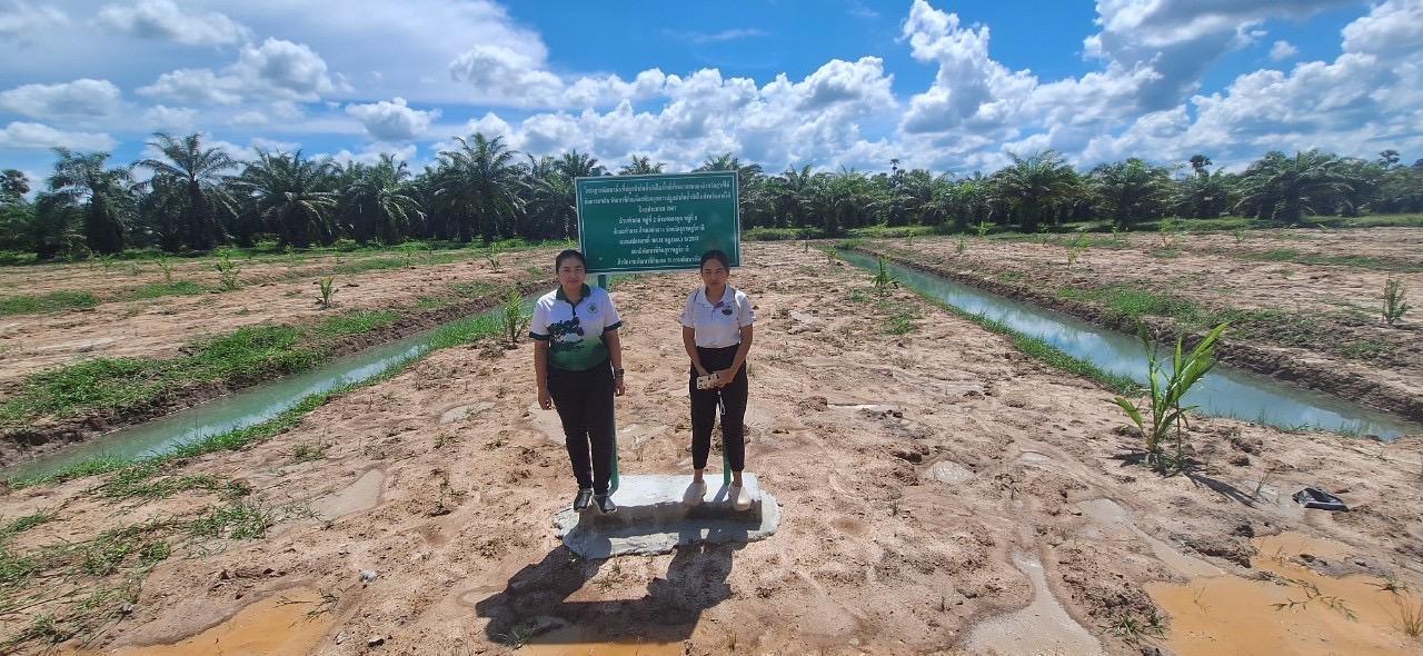 ภาพประกอบที่ 1