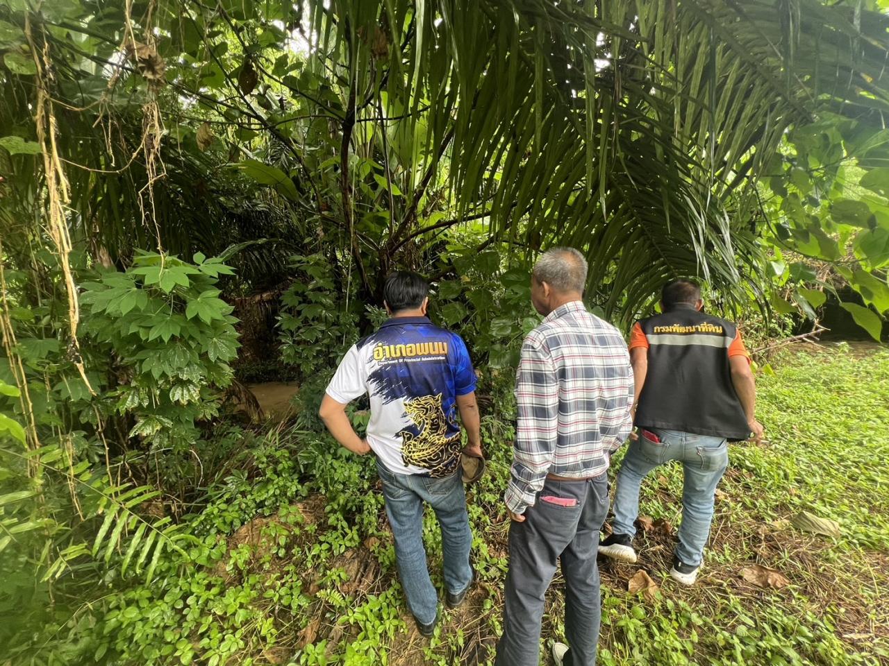 ภาพประกอบที่ 0