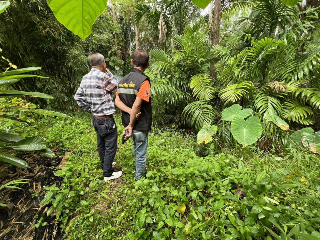 ภาพประกอบที่ 1
