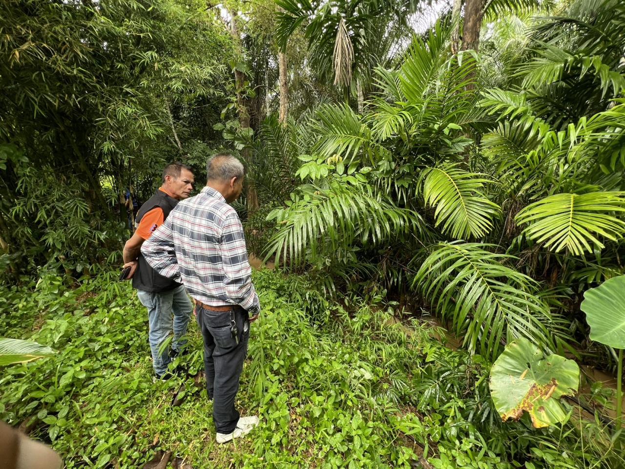 ภาพประกอบที่ 2