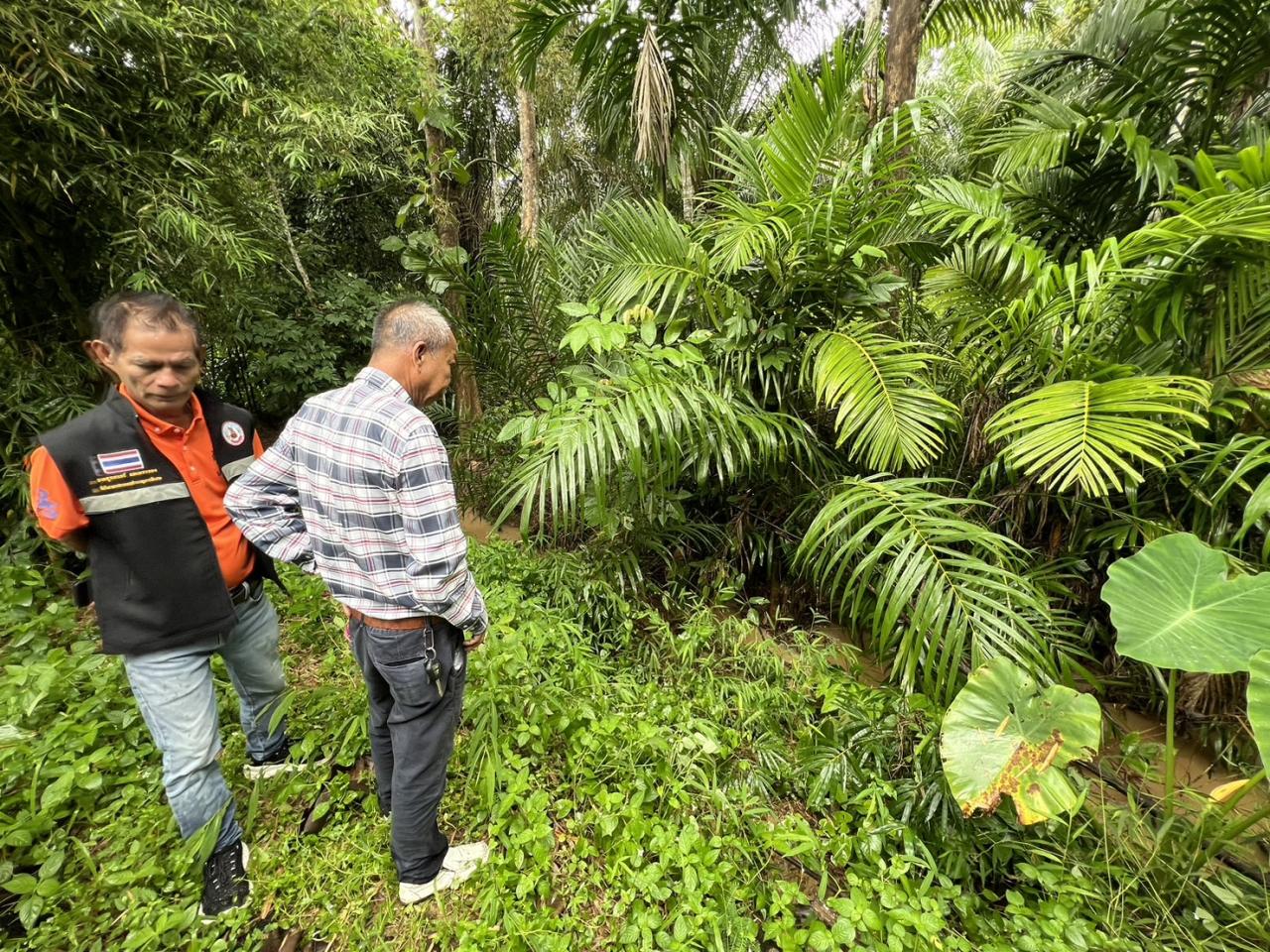 ภาพประกอบที่ 3