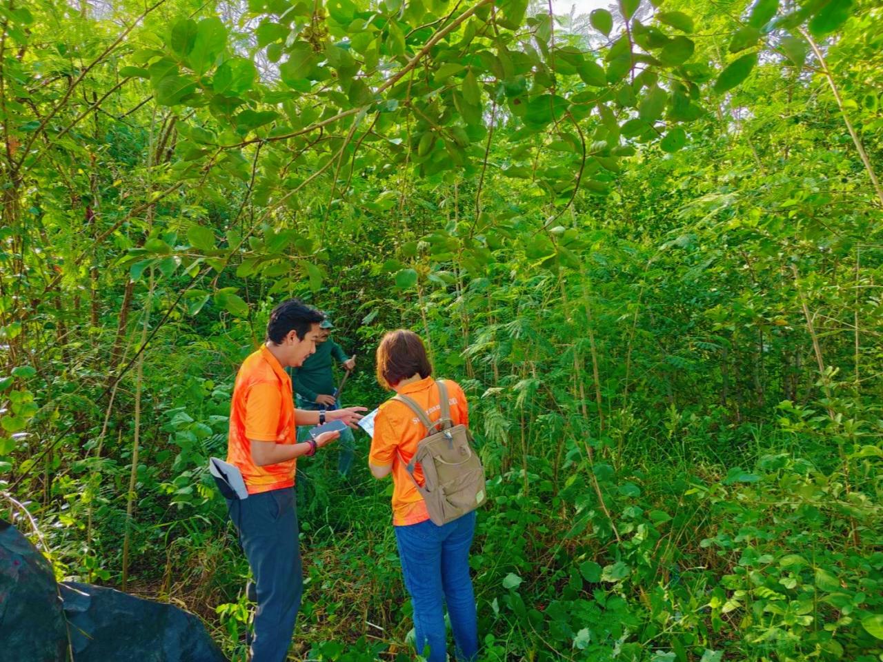 ภาพประกอบที่ 0