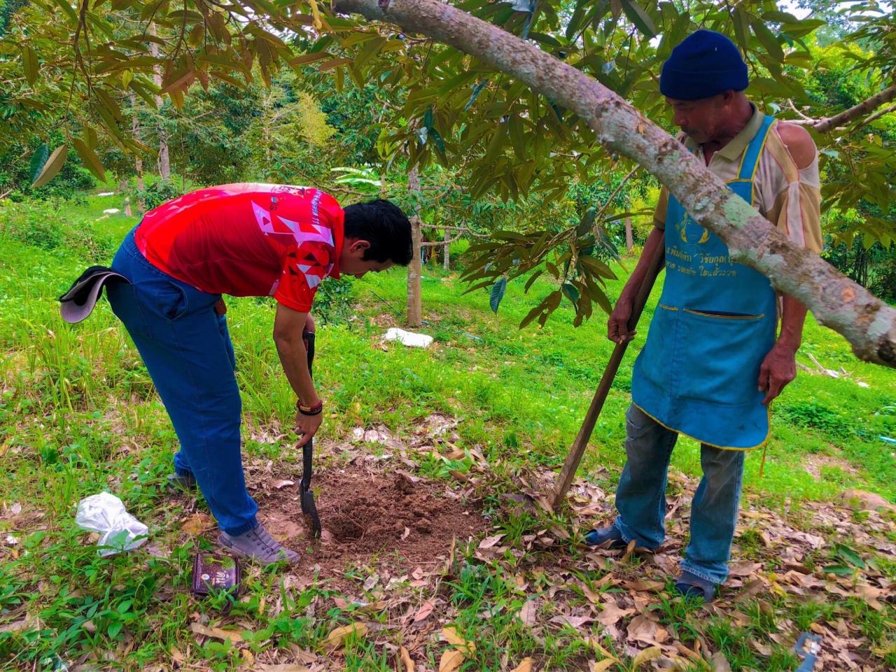 ภาพประกอบที่ 2