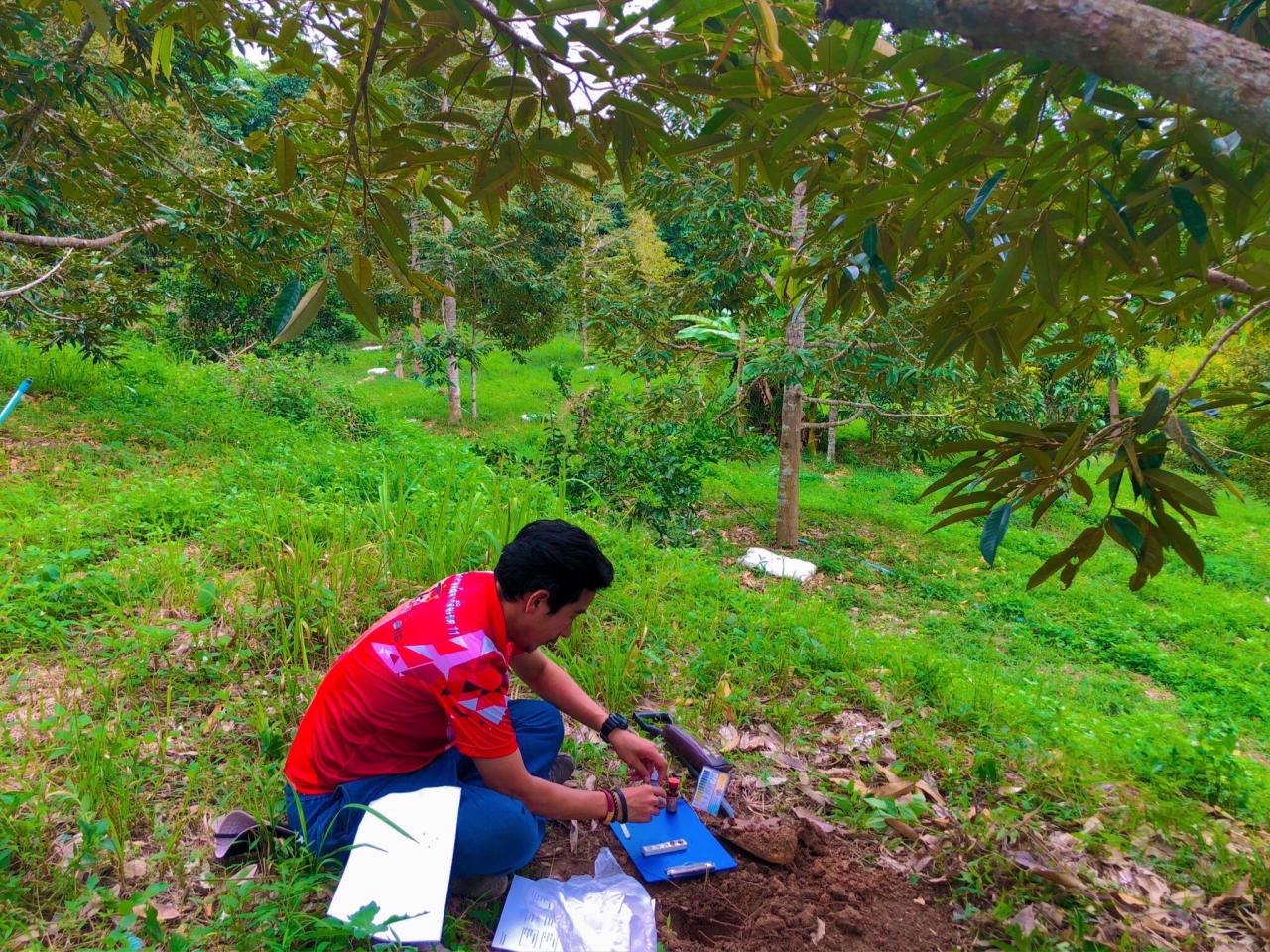 ภาพประกอบที่ 3