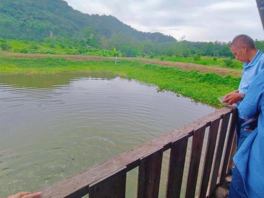 ภาพประกอบที่ 1