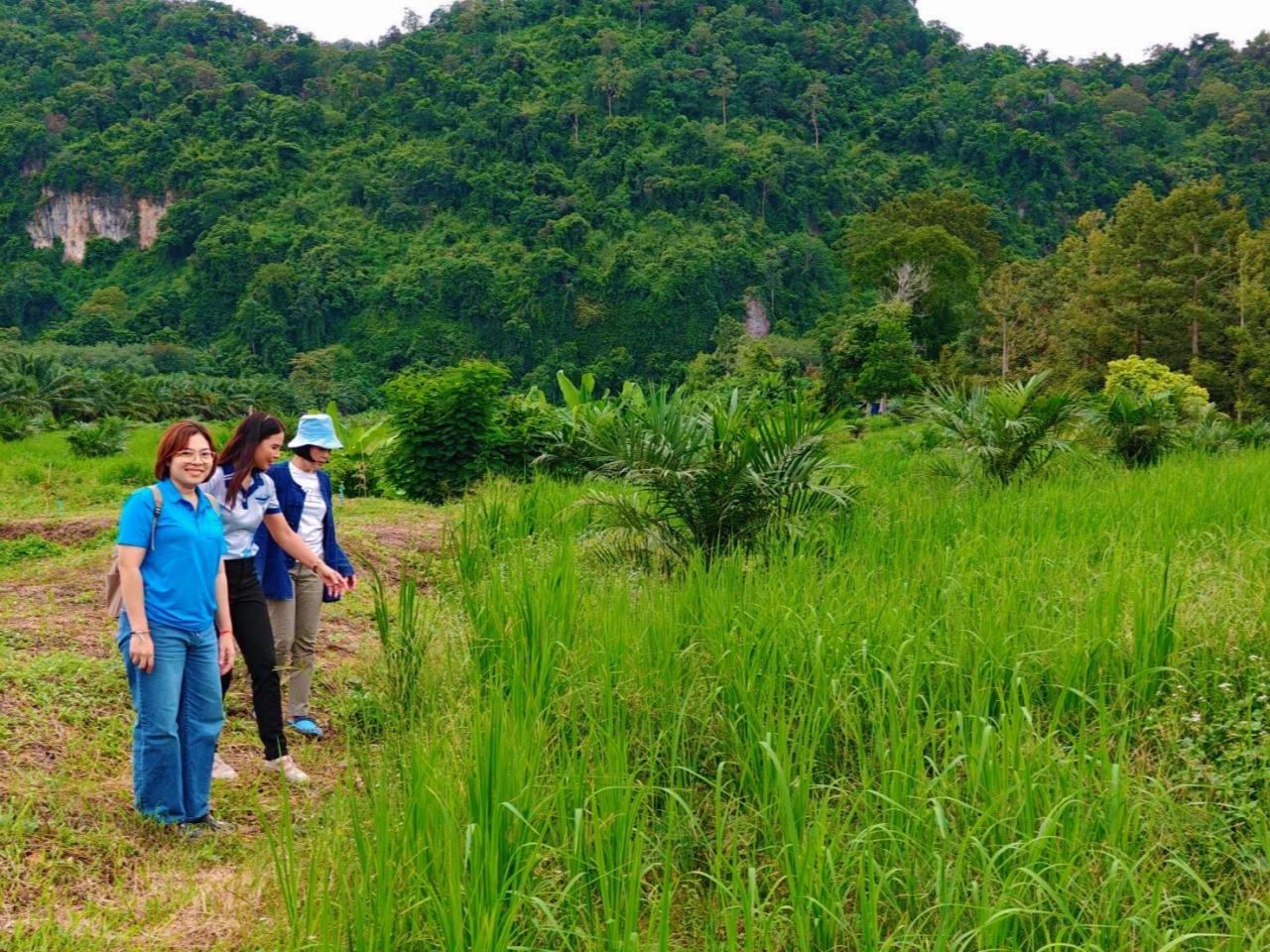 ภาพประกอบที่ 3
