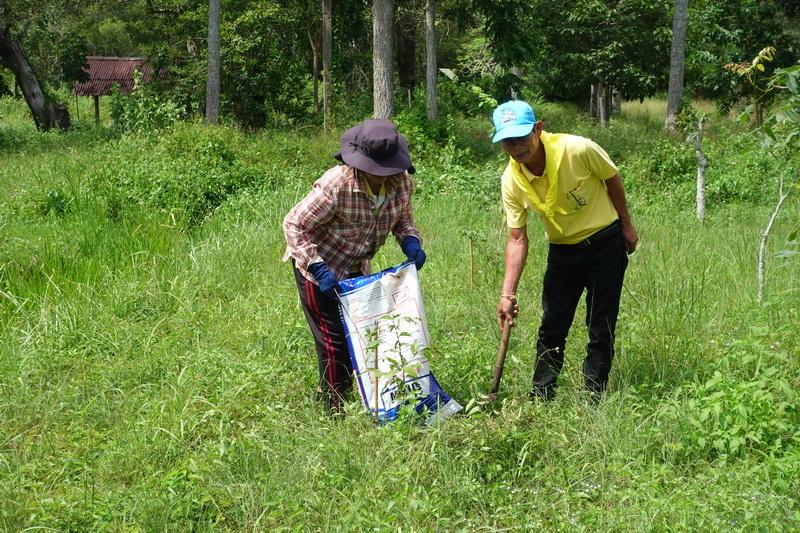 ภาพประกอบที่ 0