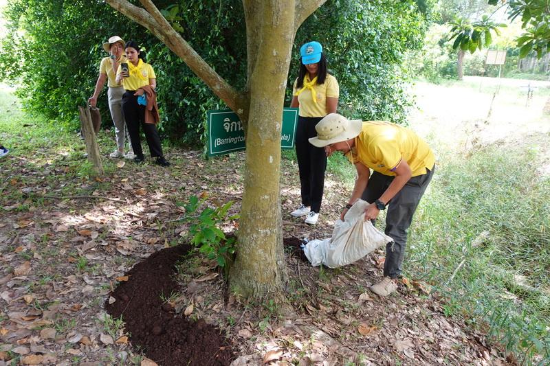 ภาพประกอบที่ 4