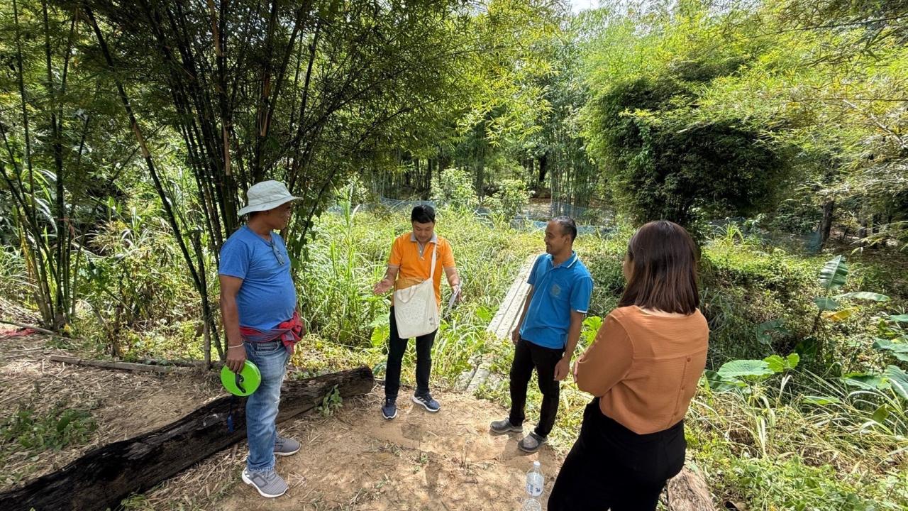 ภาพประกอบที่ 2