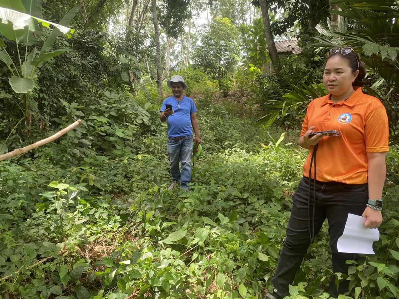 ภาพประกอบที่ 4