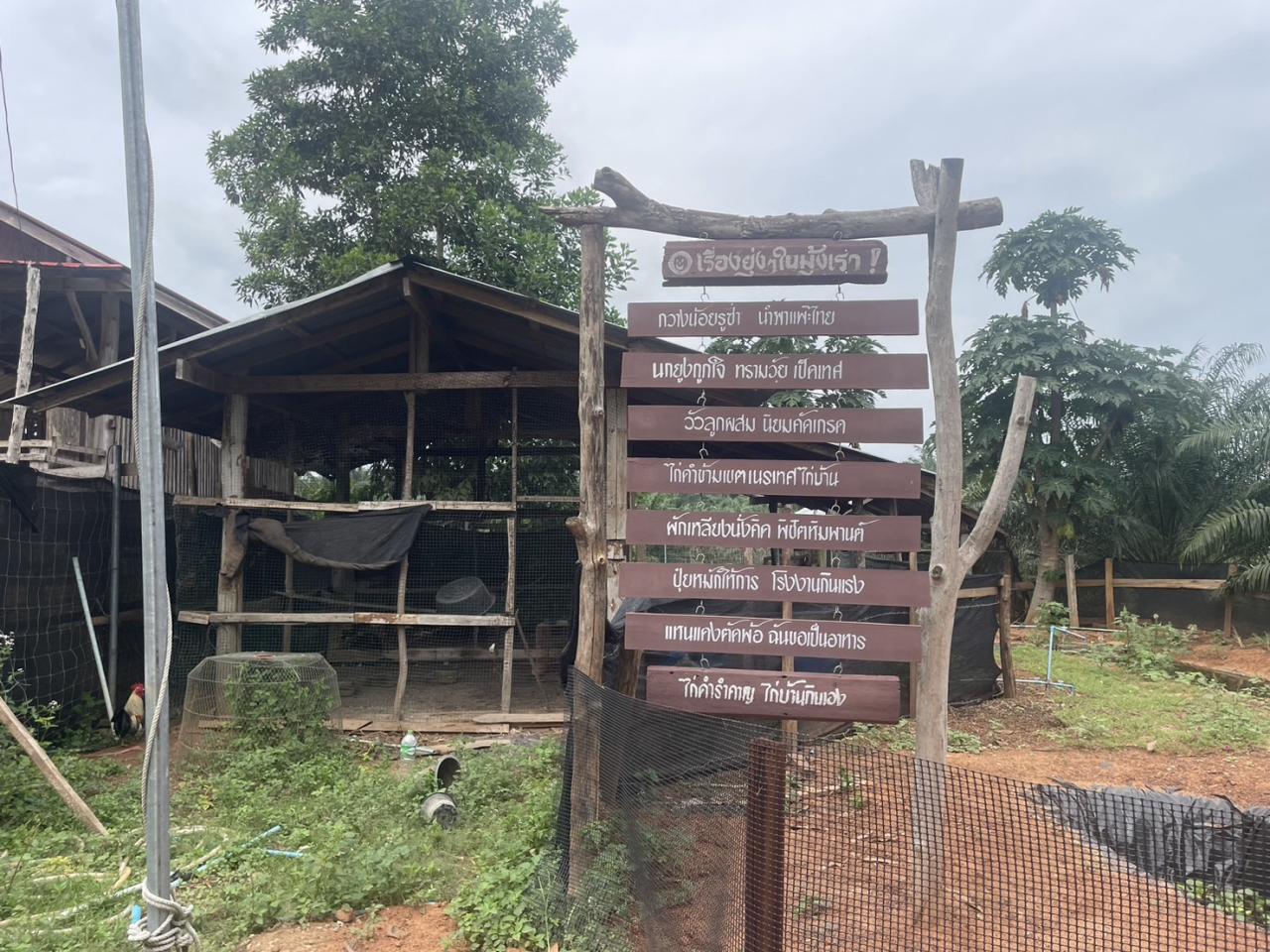 ภาพประกอบที่ 0