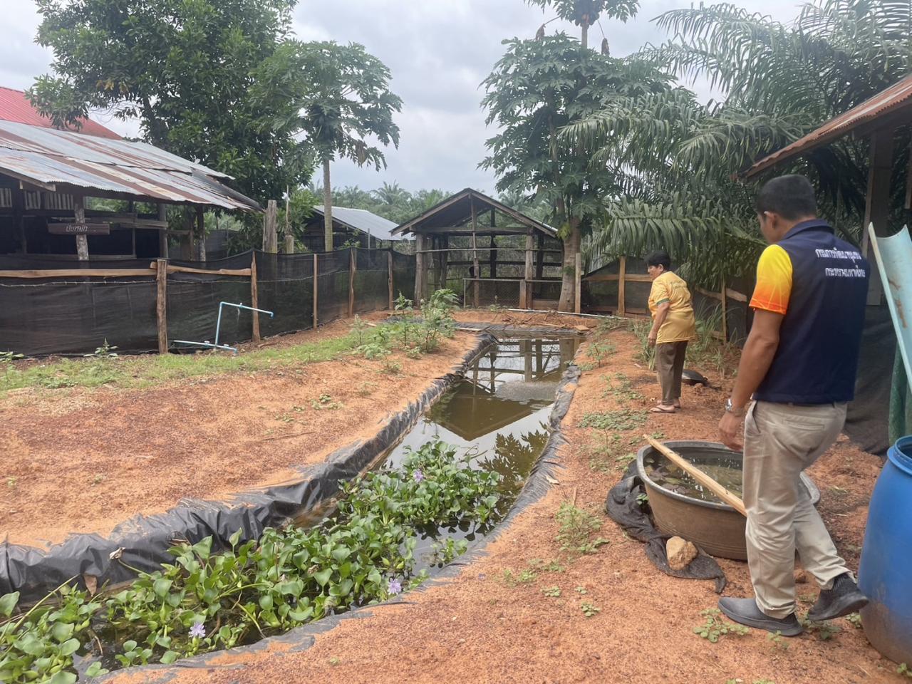 ภาพประกอบที่ 2