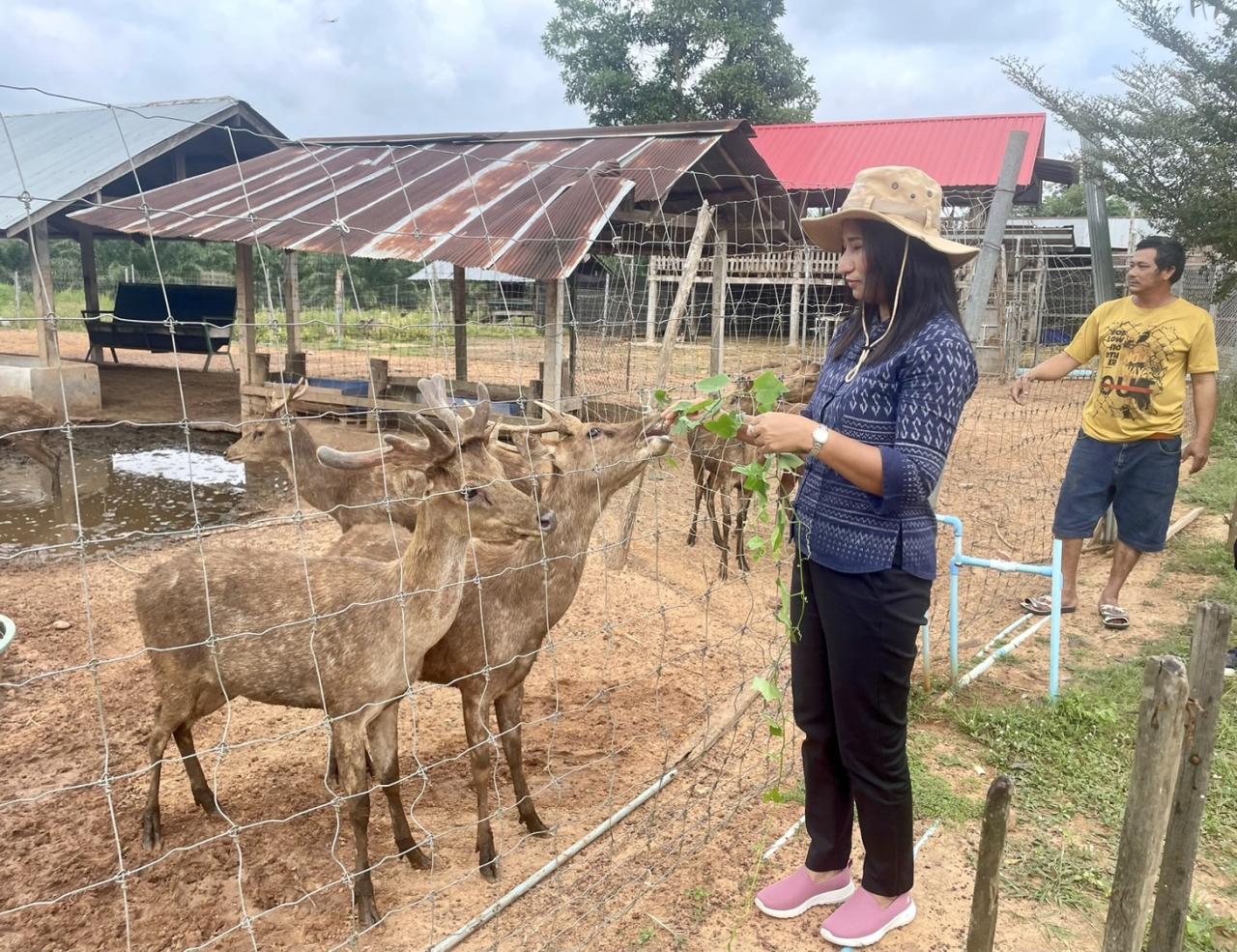 ภาพประกอบที่ 5