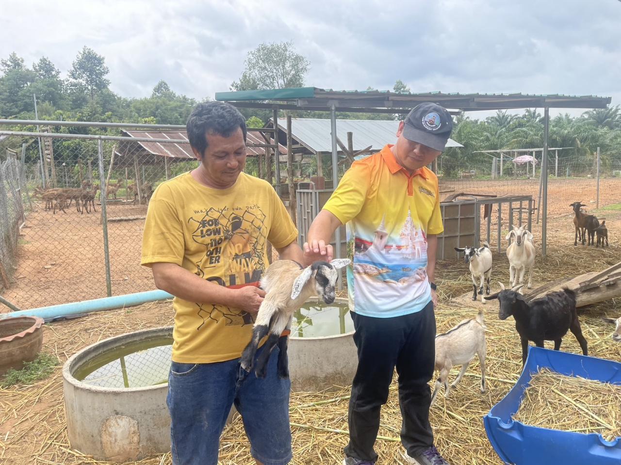 ภาพประกอบที่ 6