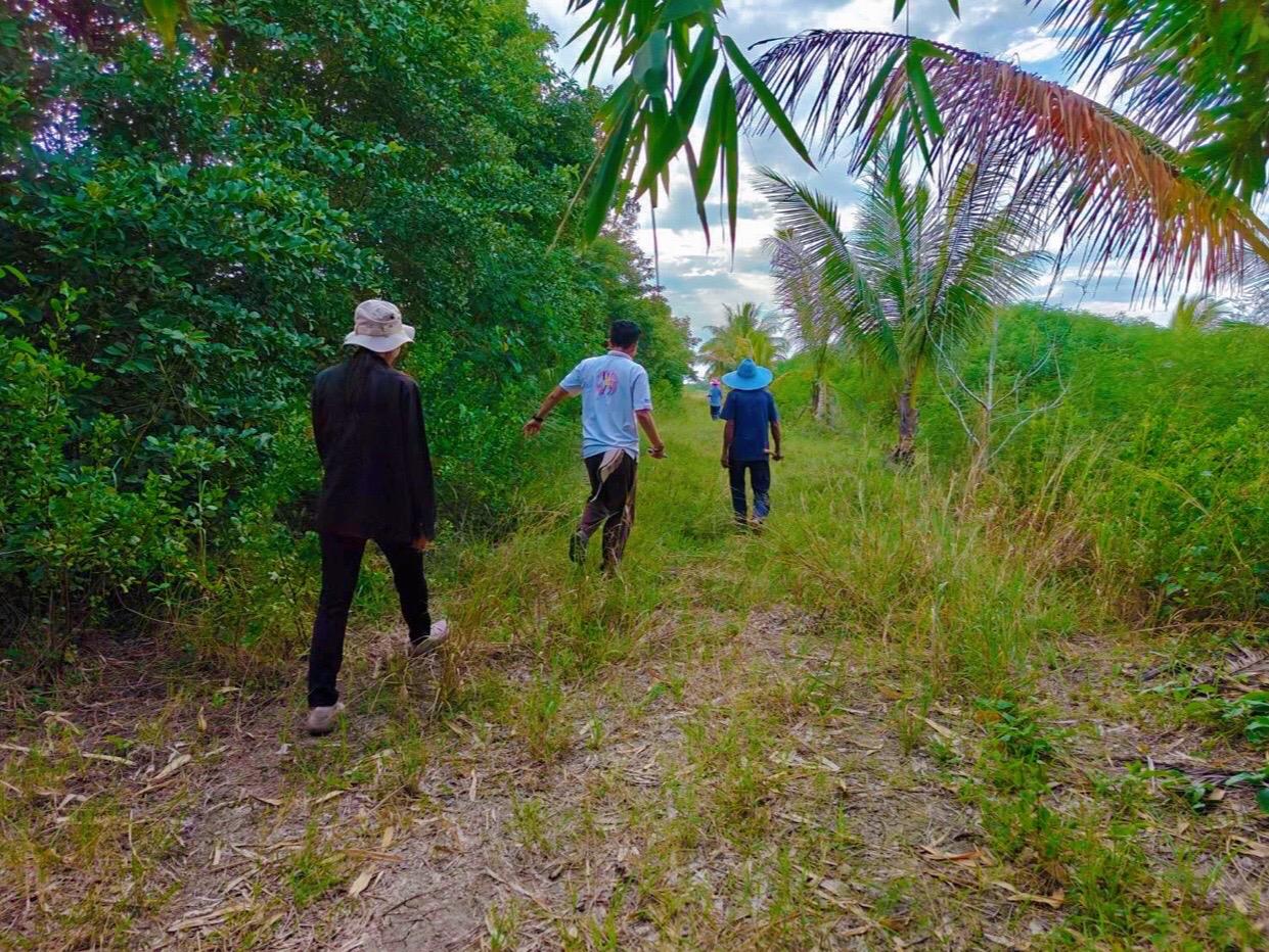 ภาพประกอบที่ 0