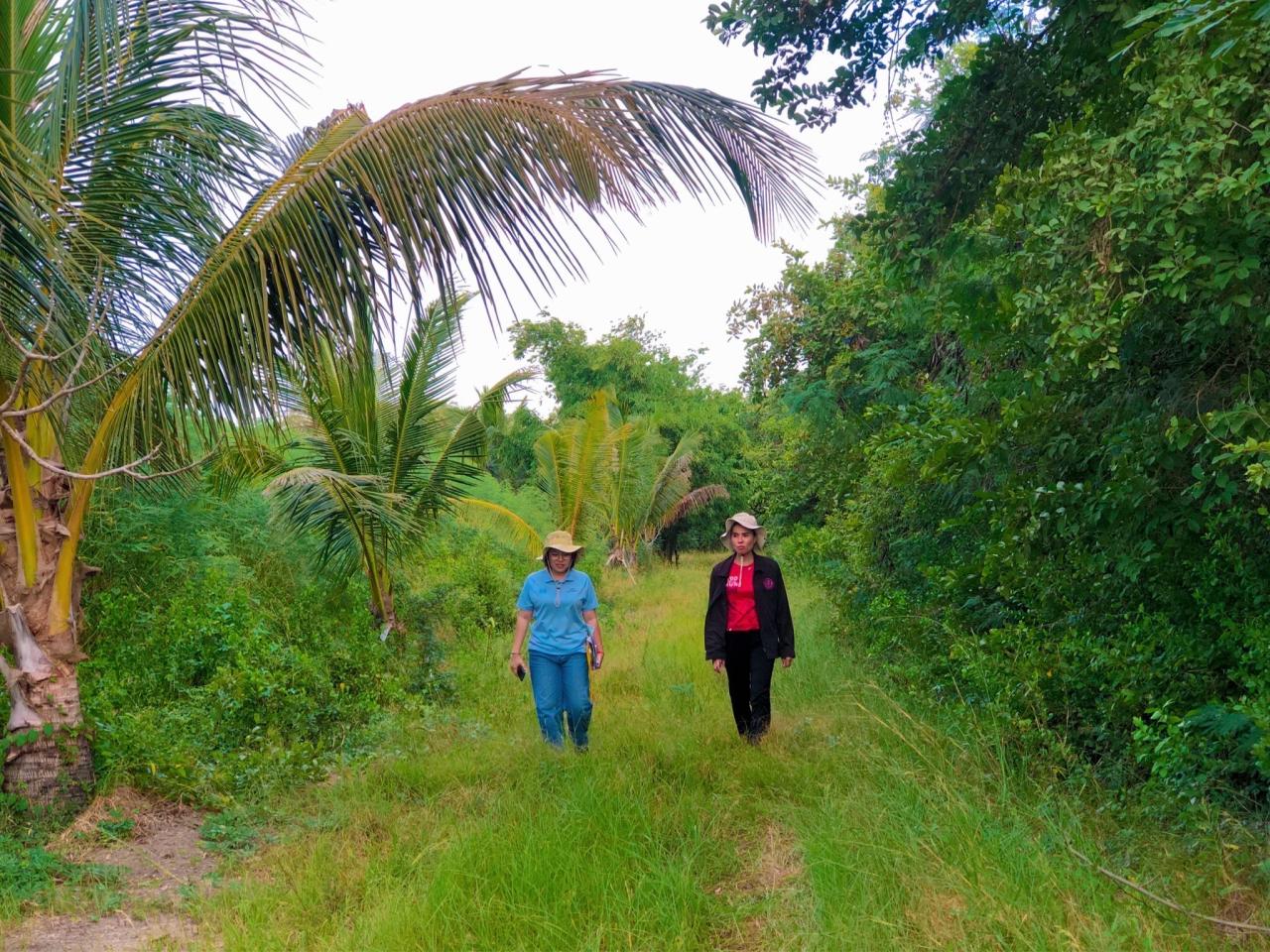 ภาพประกอบที่ 4
