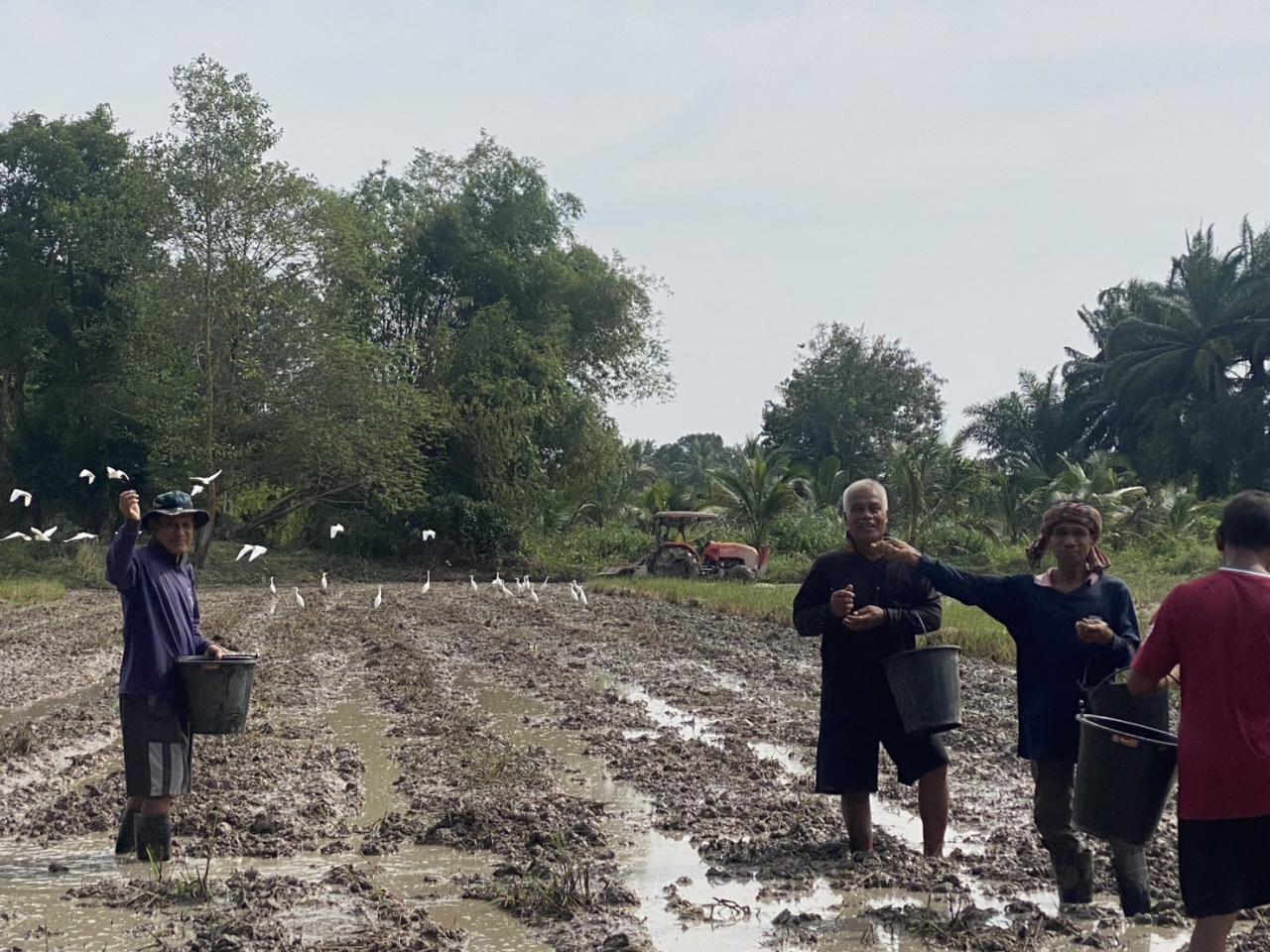 ภาพประกอบที่ 1