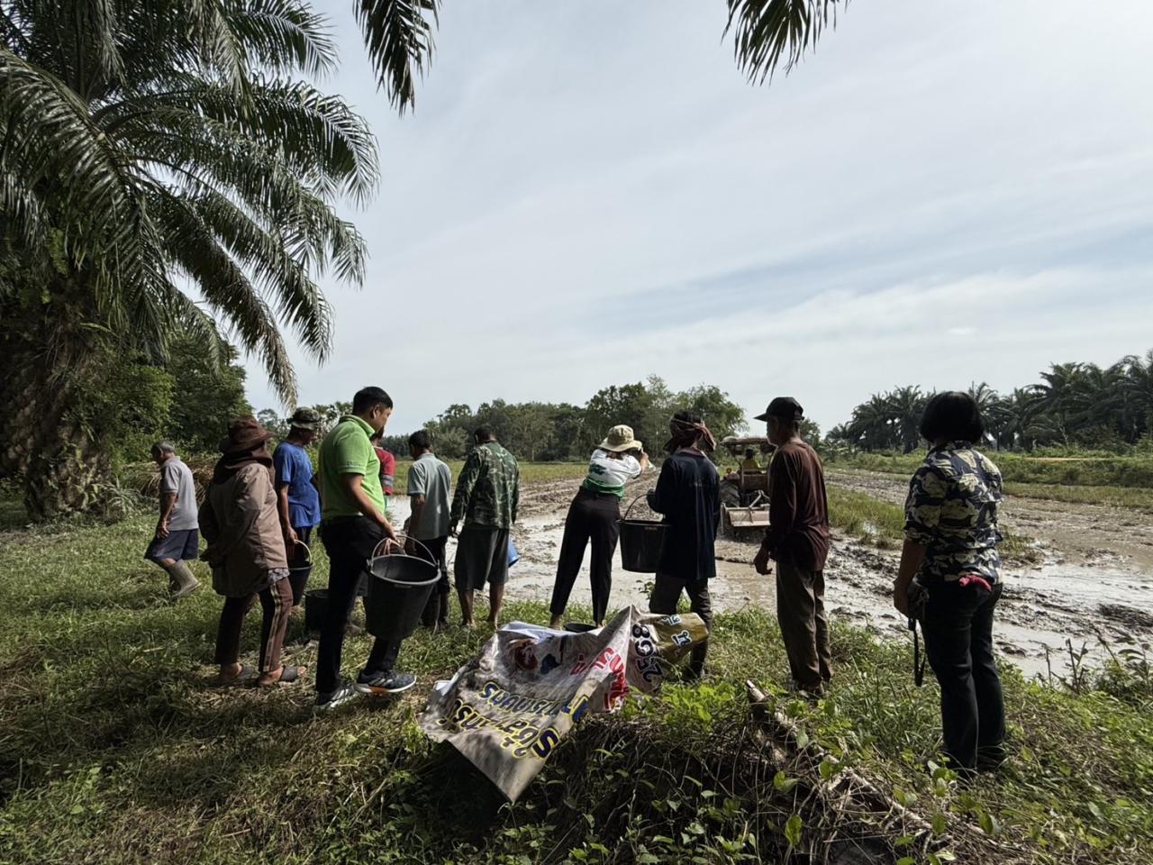 ภาพประกอบที่ 3