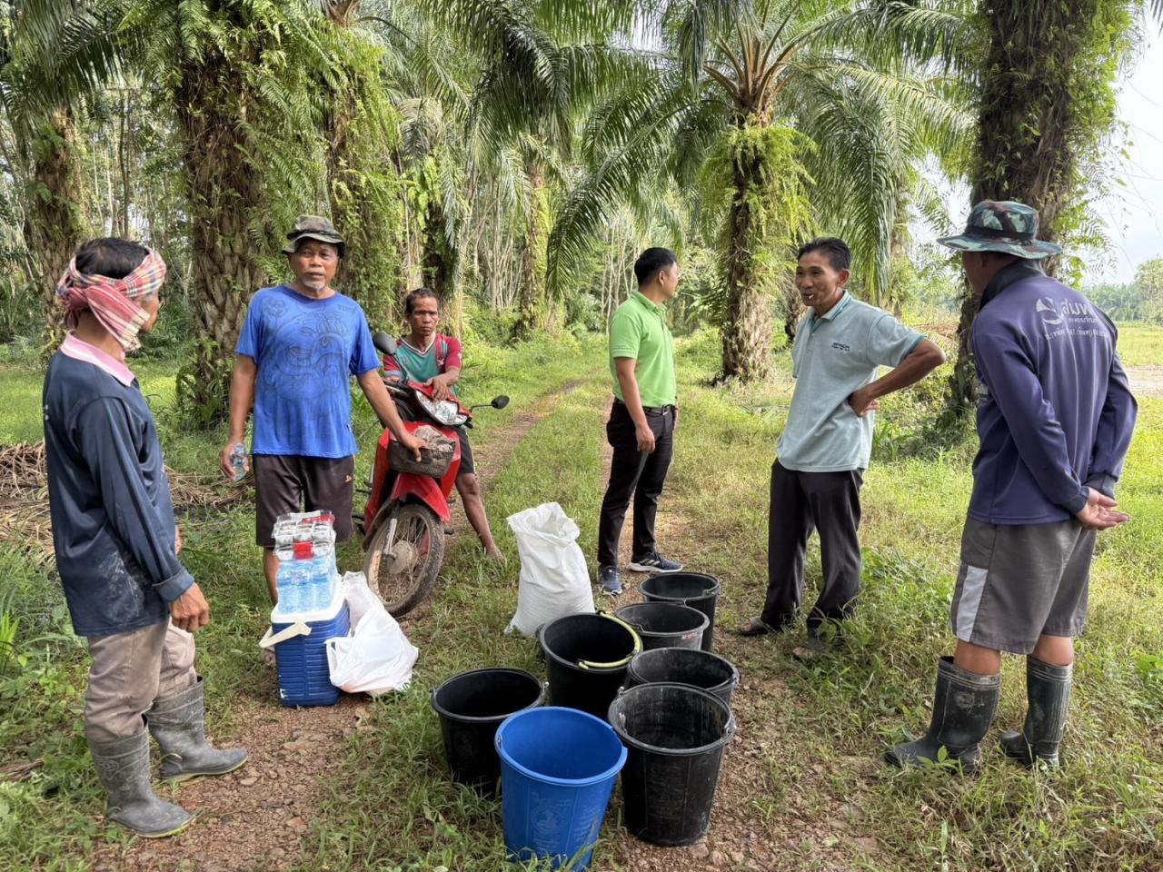 ภาพประกอบที่ 4