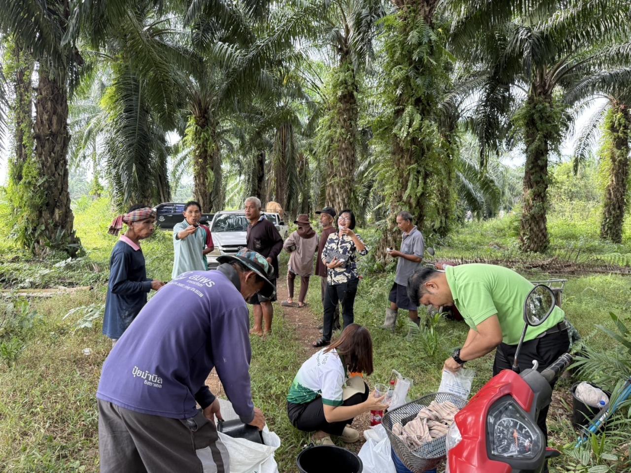 ภาพประกอบที่ 6