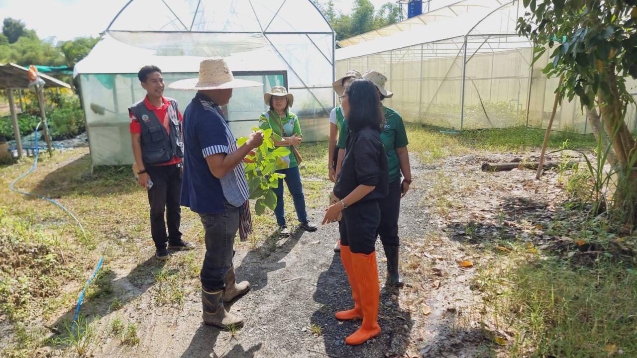 ภาพประกอบที่ 1