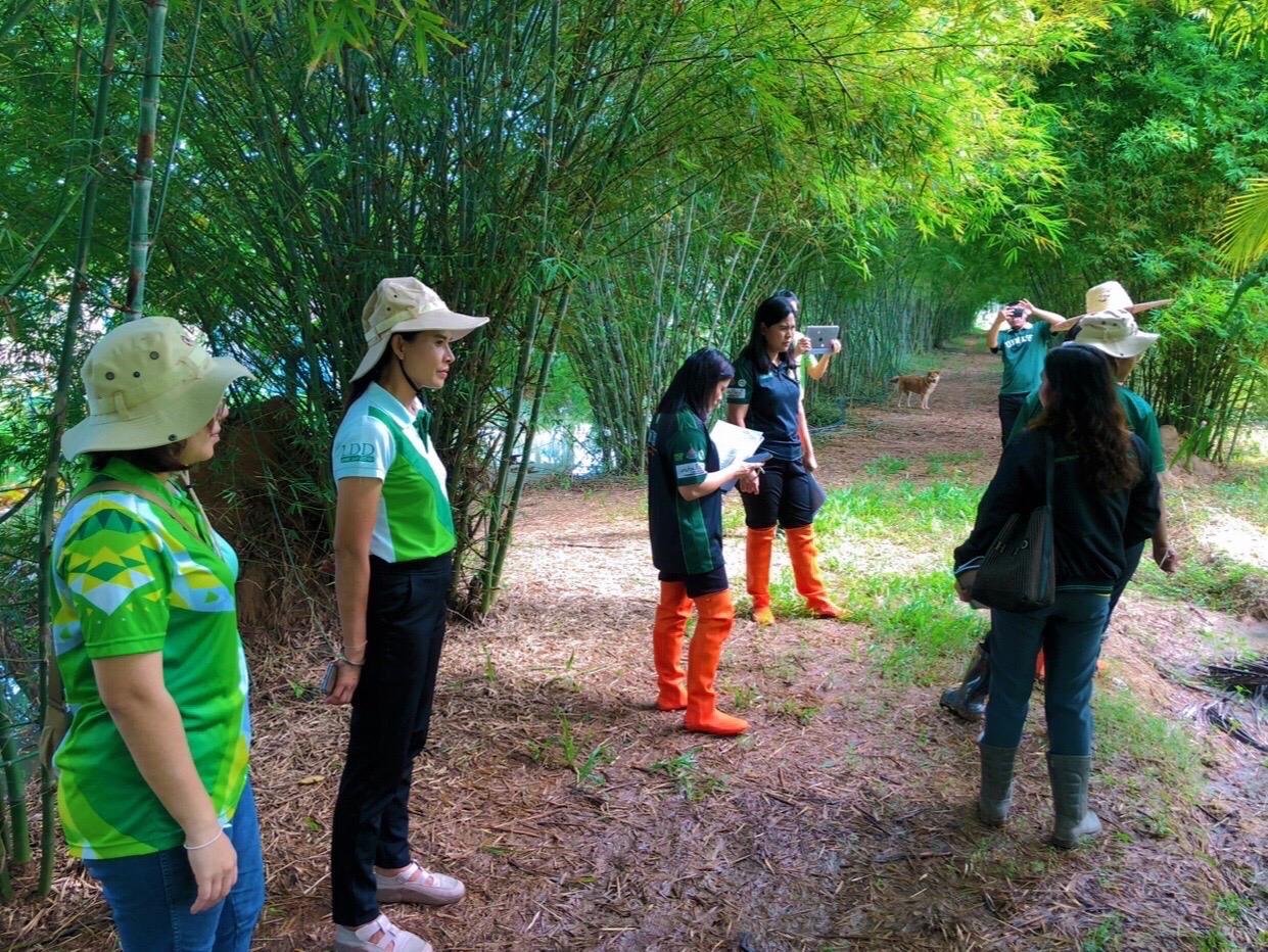 ภาพประกอบที่ 2