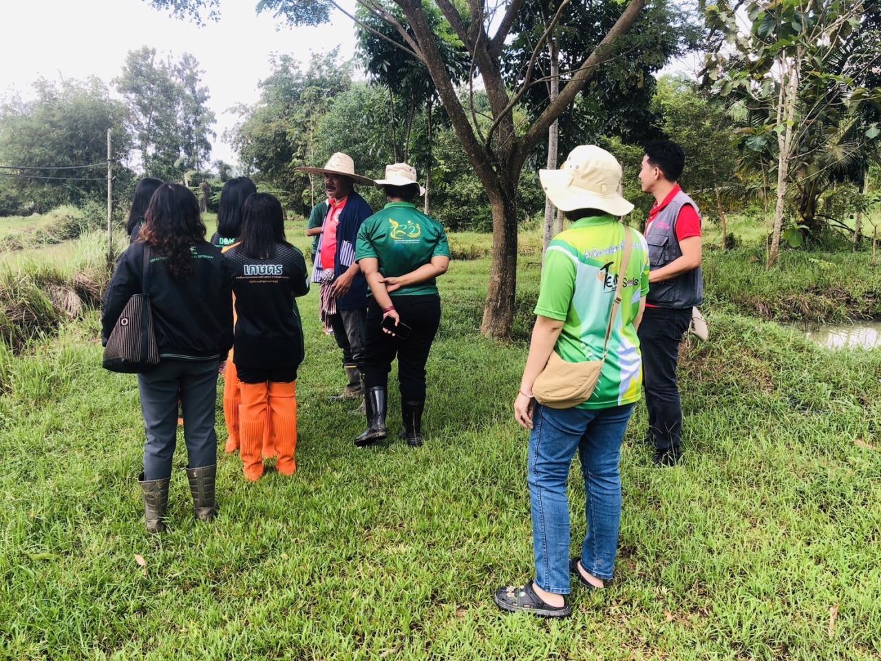 ภาพประกอบที่ 3