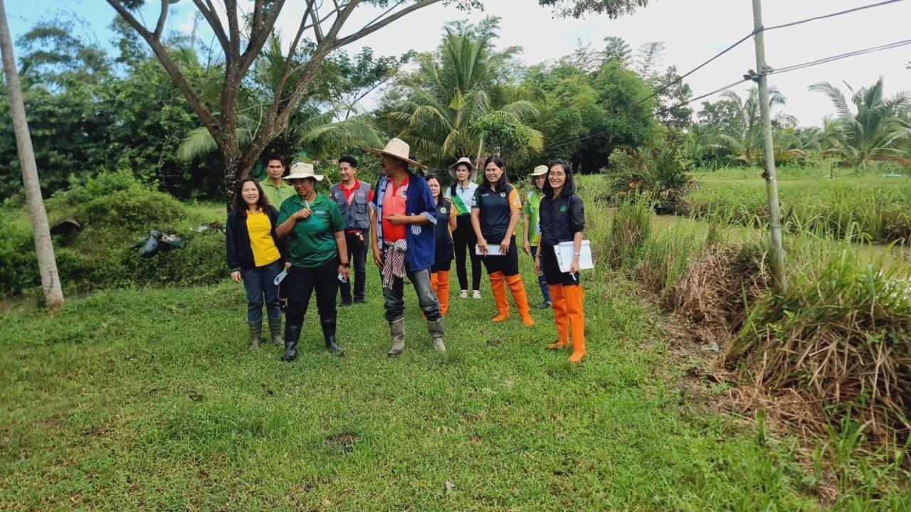 ภาพประกอบที่ 4