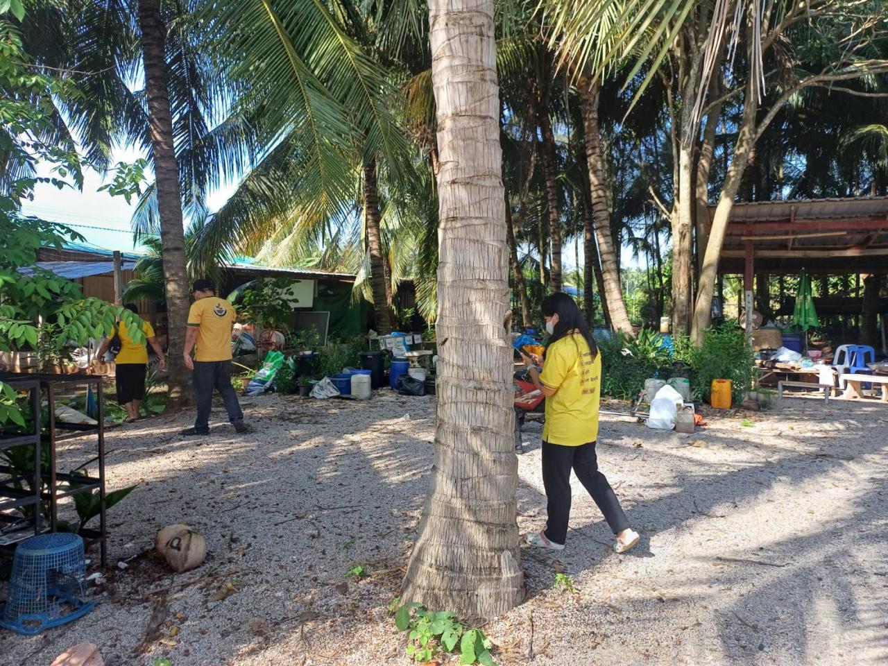 ภาพประกอบที่ 4