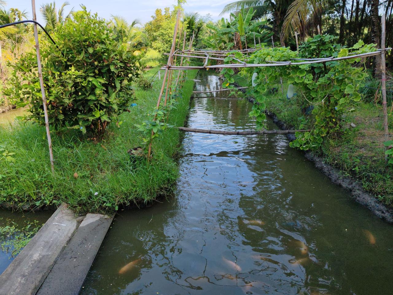 ภาพประกอบที่ 8