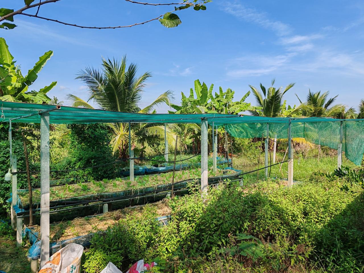 ภาพประกอบที่ 9