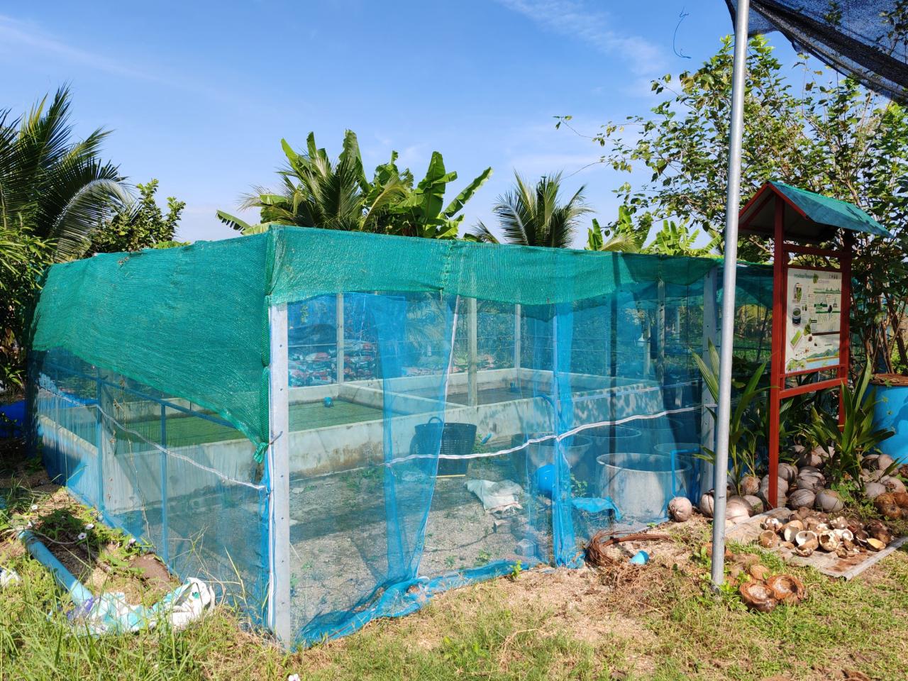 ภาพประกอบที่ 10