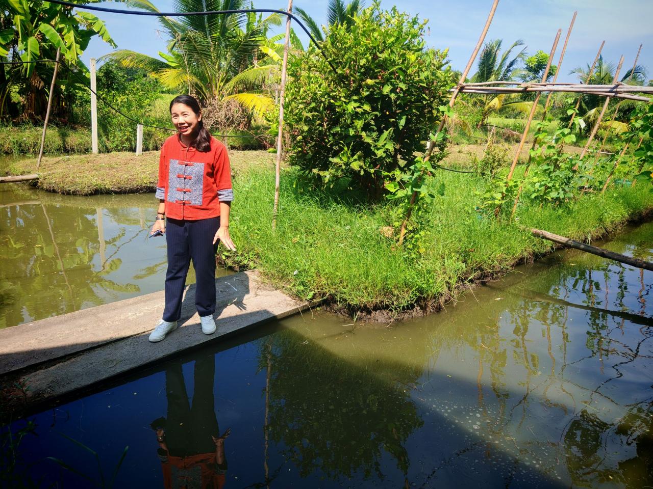 ภาพประกอบที่ 1