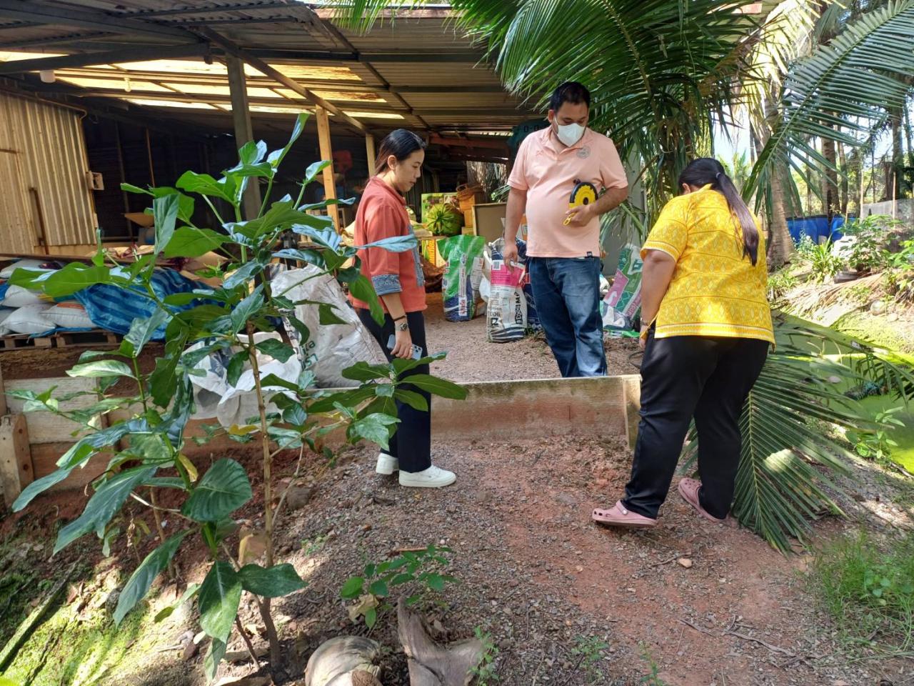 ภาพประกอบที่ 6