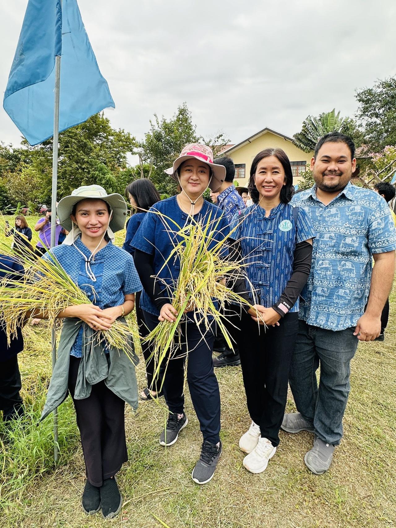 ภาพประกอบที่ 5