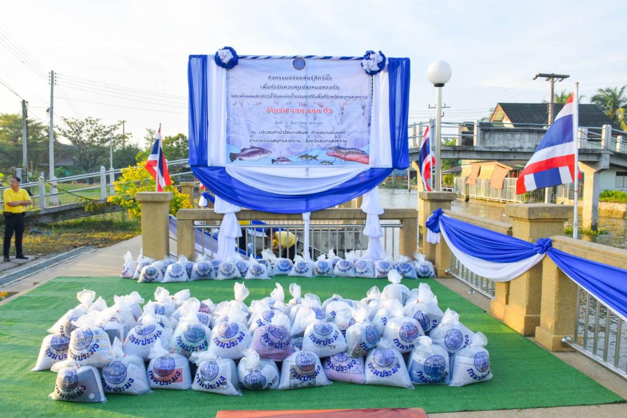 ภาพประกอบที่ 0