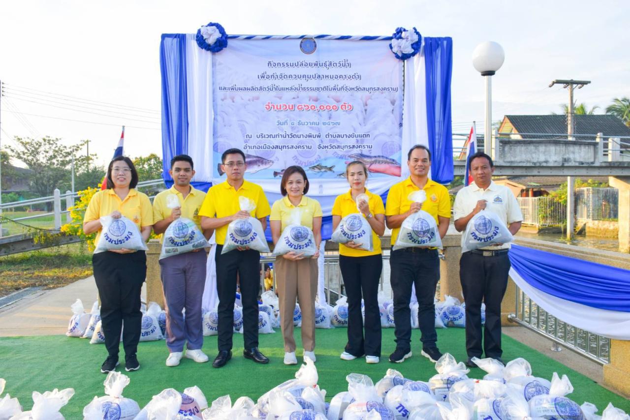 ภาพประกอบที่ 2