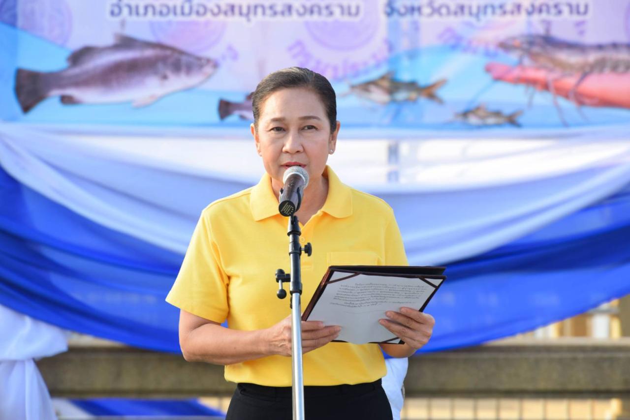 ภาพประกอบที่ 3