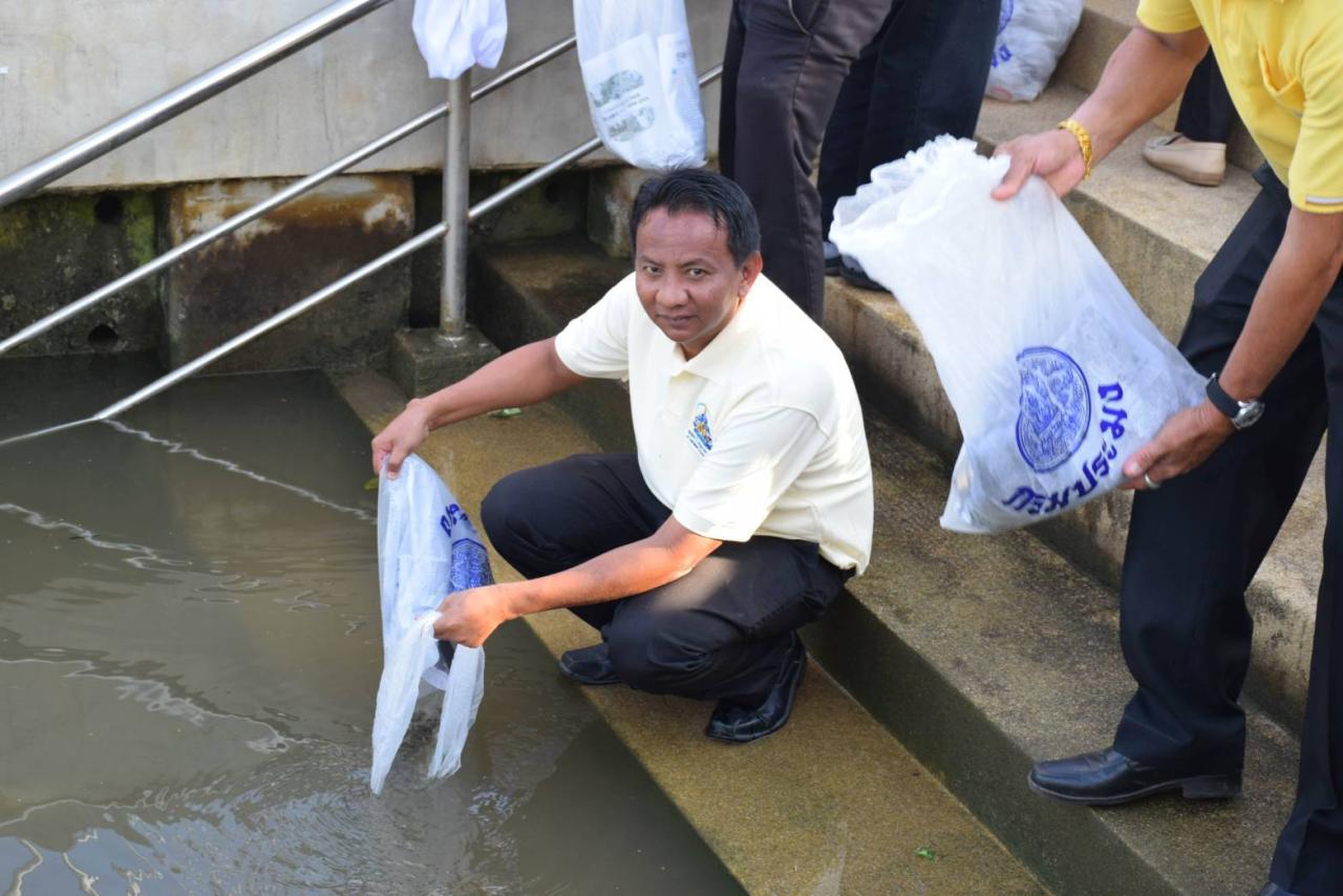 ภาพประกอบที่ 5